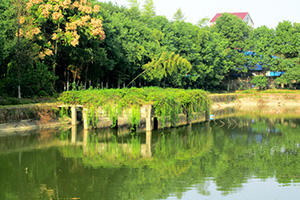 羞羞羞视频在线播放園湖光美景