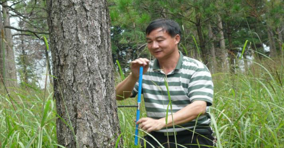 中南林業科技大學研究員，碩士生導師