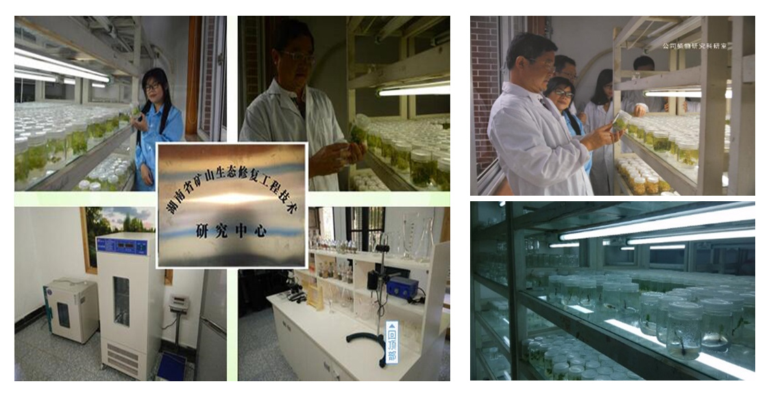 湖南省礦山生態羞羞网站免费观看技術研究中心