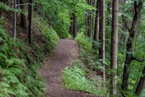 礦山羞羞网站免费观看熱點3