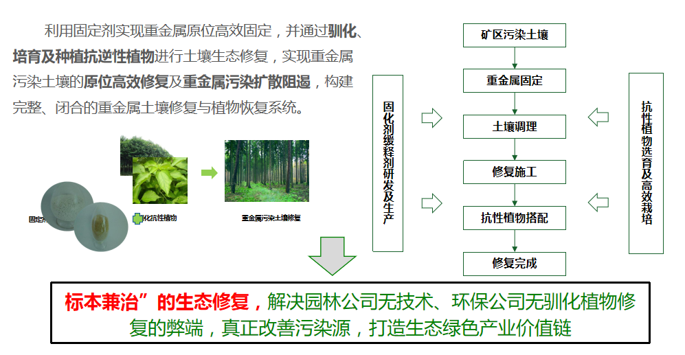羞羞网站免费观看方案優勢