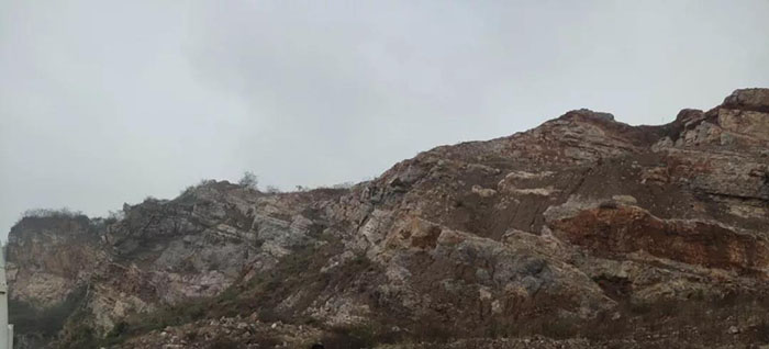 獅子山羞羞网站免费观看前官網1