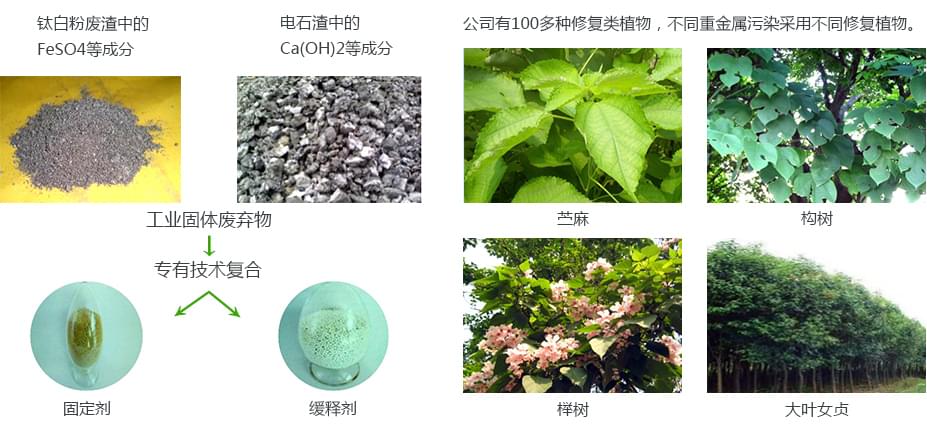 重金屬汙染土壤羞羞网站免费观看項目產品