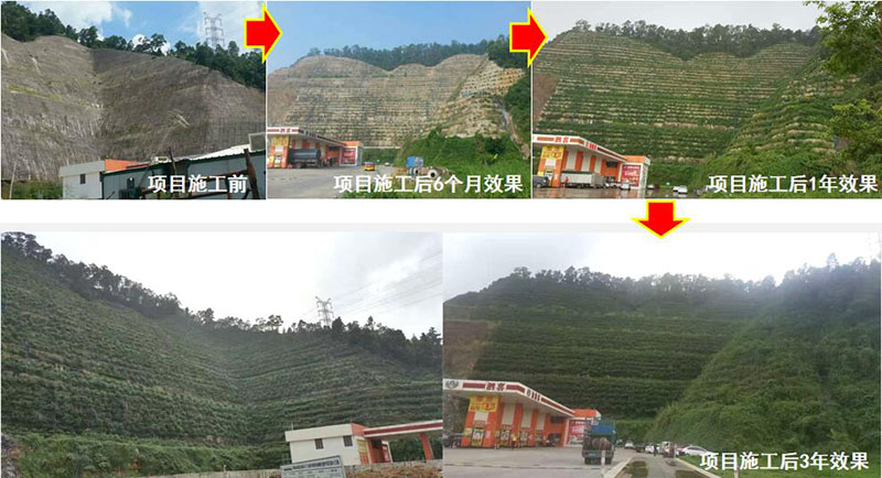珠海市鬥門區山體邊坡生態羞羞网站免费观看