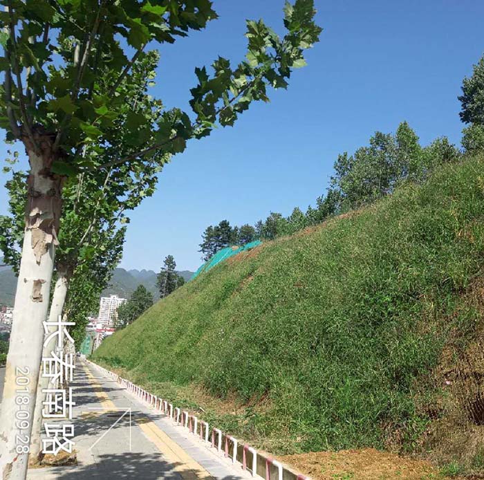 河南省洛陽市欒川縣老君山景區山體羞羞网站免费观看