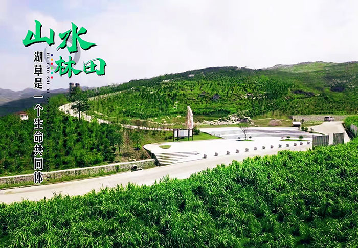 湖南省婁底市冷水江銻煤礦區山水林田湖草生態保護羞羞网站免费观看項目