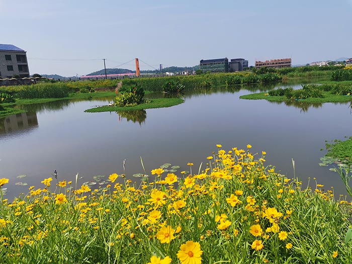 衡陽縣蒸水流域山水林田湖草生態保護羞羞网站免费观看工程試點項目