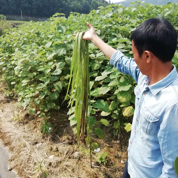 貴州省銅仁市生態羞羞网站免费观看與精準扶貧示範區