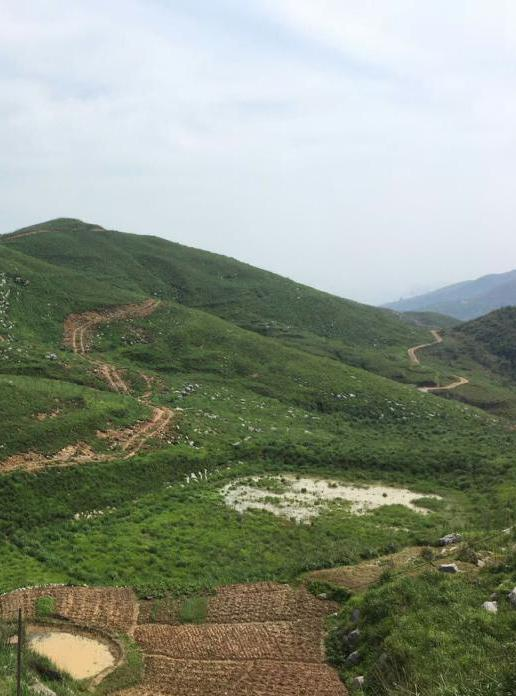 湖南省冷水江市錫礦山地區生態羞羞网站免费观看項目