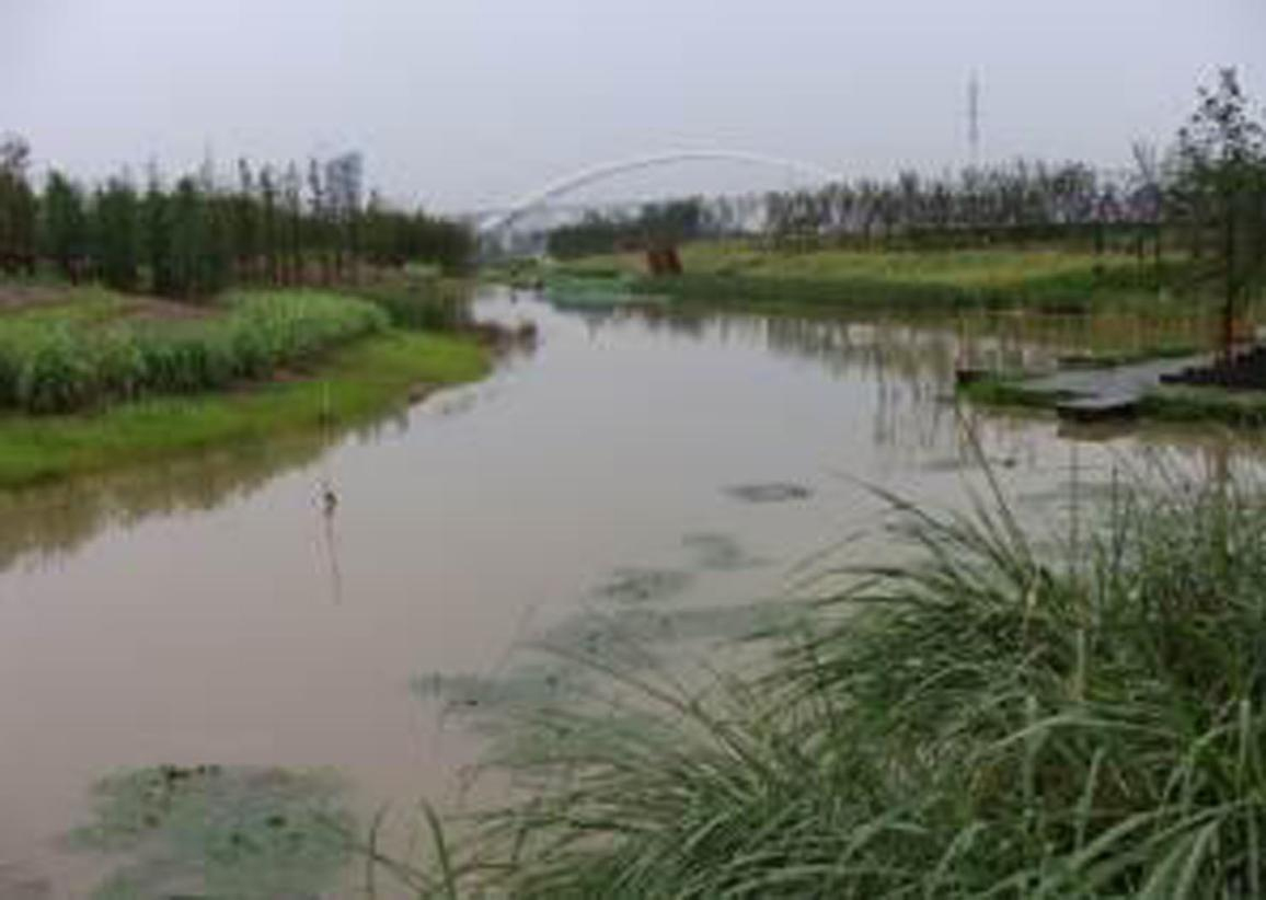 洋湖濕地生態羞羞网站免费观看與保育工程