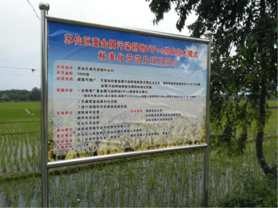 湖南省郴州市蘇仙區千畝農田鎘汙染羞羞网站免费观看項目