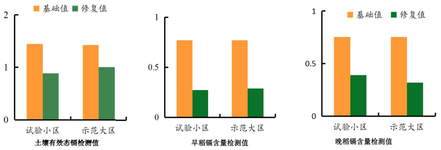 湖南省郴州市蘇仙區千畝農田鎘汙染羞羞网站免费观看項目