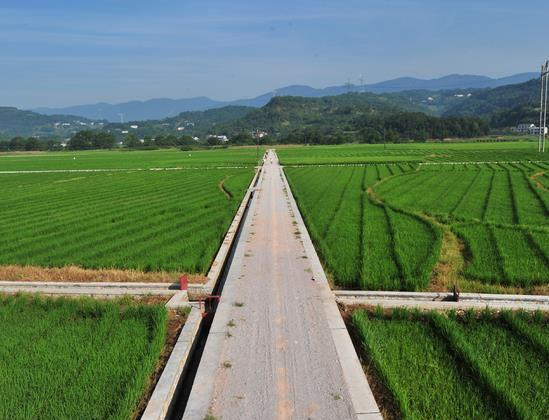 湖南省郴州市桂陽縣千畝農田鎘汙染羞羞网站免费观看項目