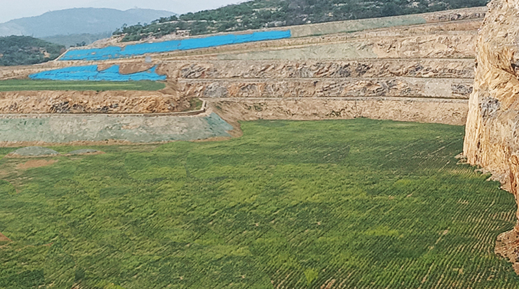 鶴壁市淇濱區南太行地區山水林田湖草生態保護羞羞网站免费观看工程
