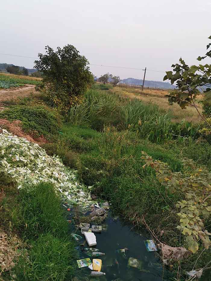 衡陽縣蒸水流域山水林田湖草生態保護羞羞网站免费观看工程試點項目