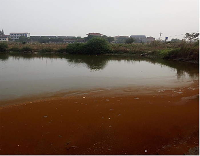 衡陽縣蒸水流域山水林田湖草生態保護羞羞网站免费观看工程試點項目