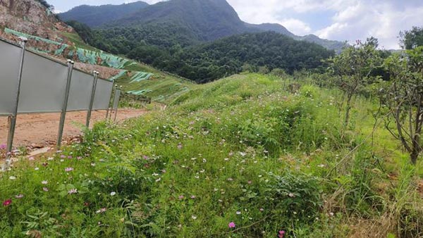 新邵縣三郎廟鉛鋅銻礦和鴻發采石場綜合治理與生態羞羞网站免费观看工程項目（EPC）總承包